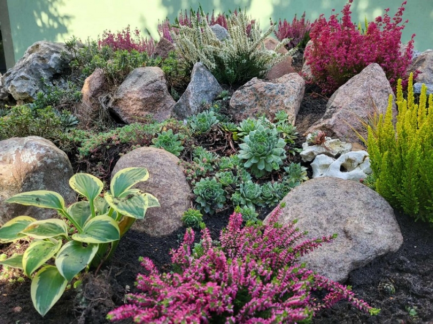 Szkolny ogród w jesiennej odsłonie